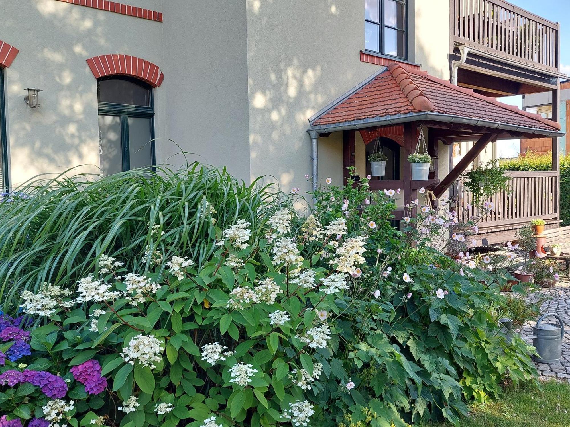 Ferienwohnung Am Buergerteich 2 บิสชอฟส์แวร์ดา ภายนอก รูปภาพ